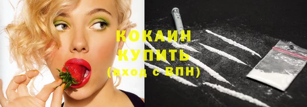 МДПВ Осинники