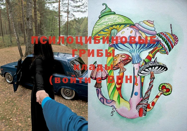 МДПВ Осинники
